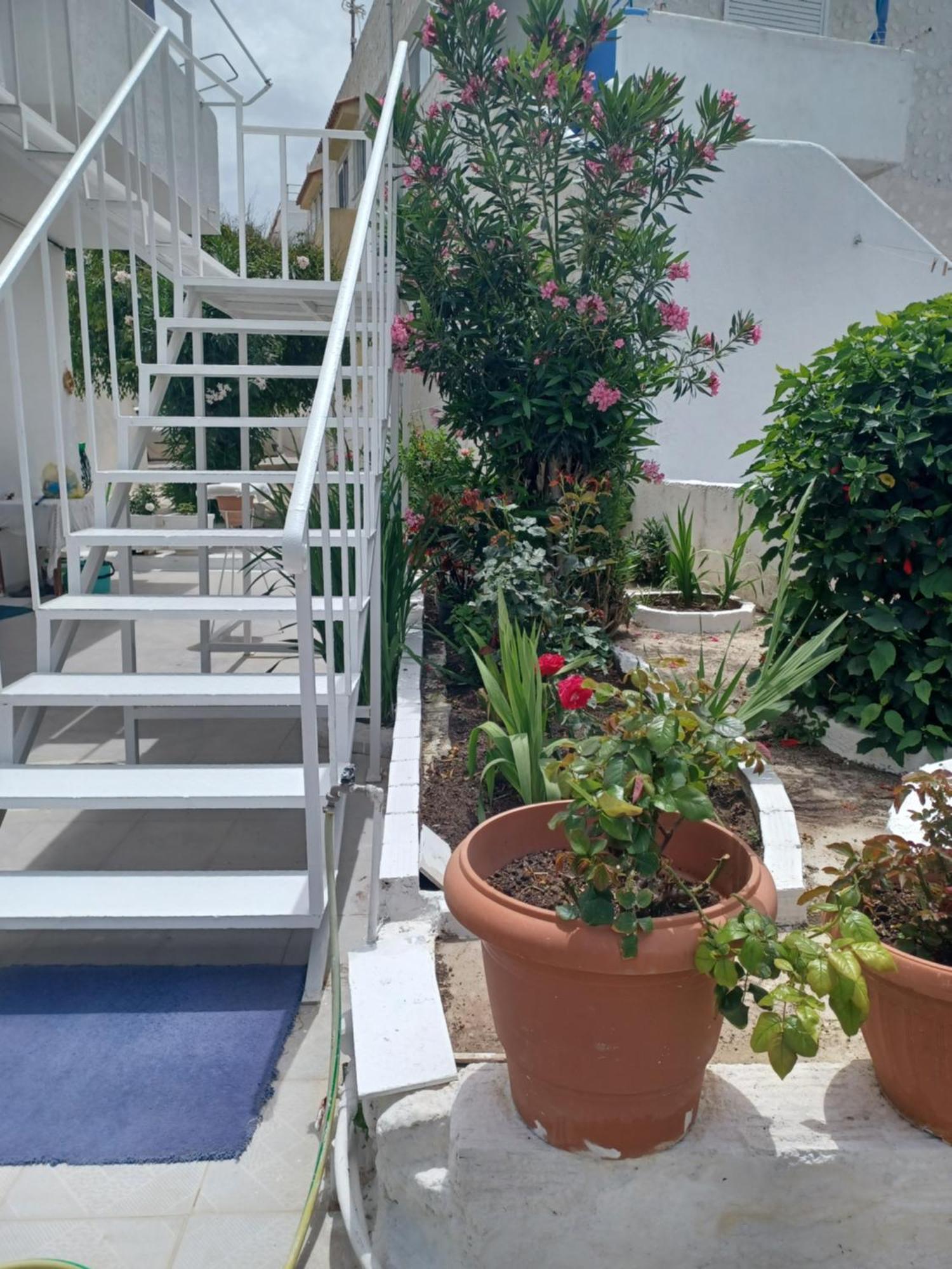 Mastichari Nektaria Studio Apartment ภายนอก รูปภาพ
