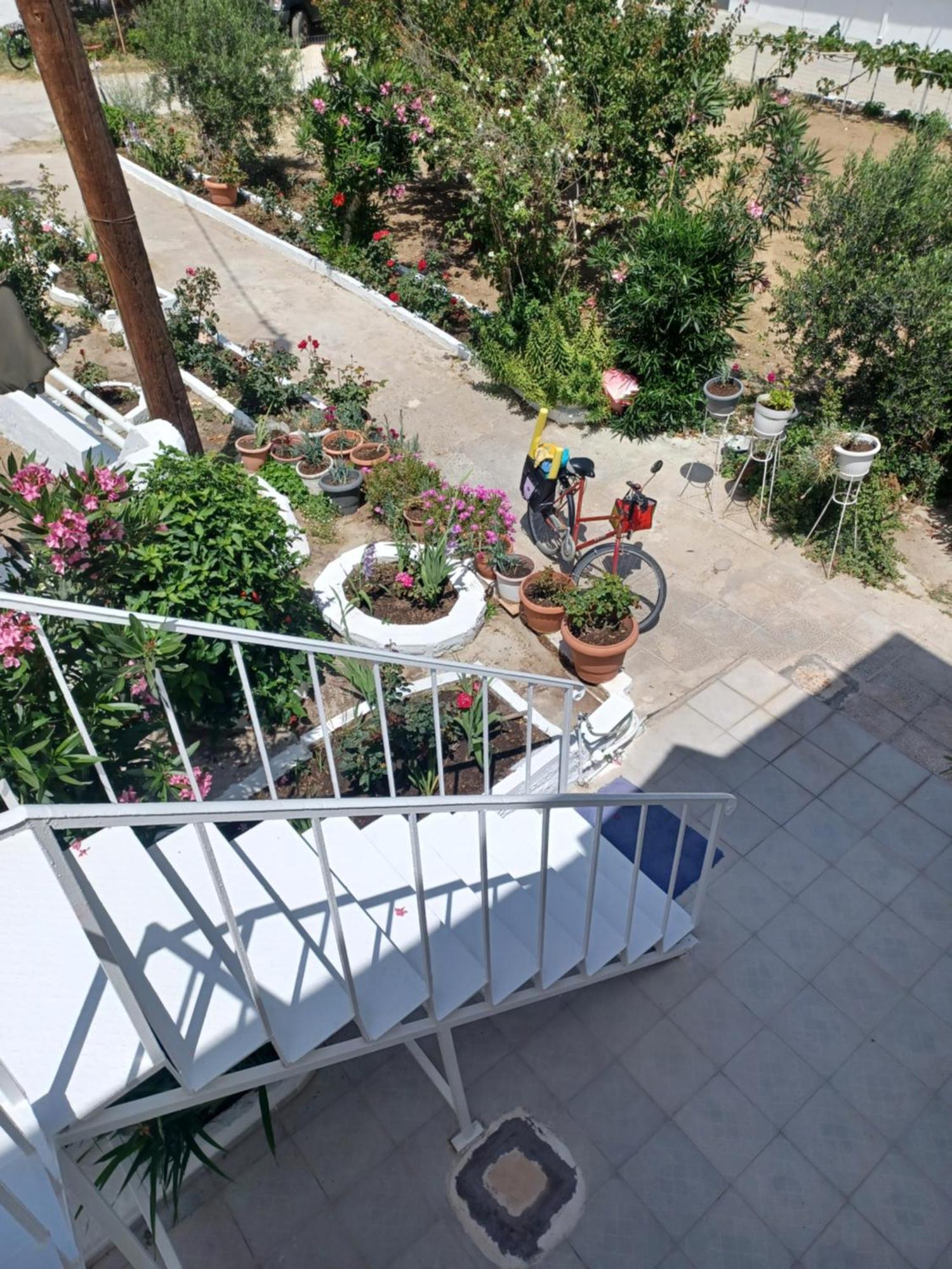 Mastichari Nektaria Studio Apartment ภายนอก รูปภาพ
